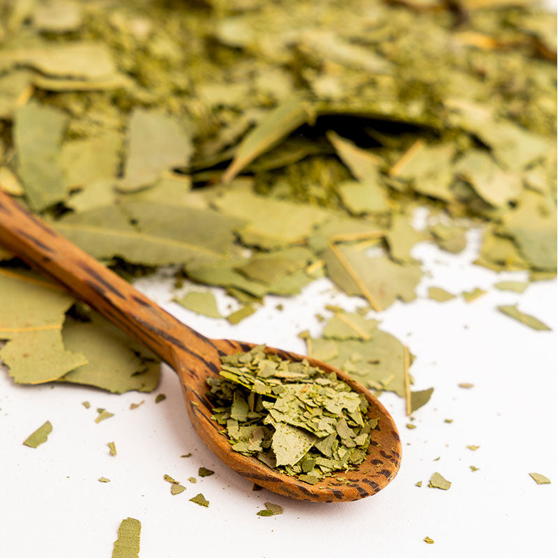 Tisane de Cannelle