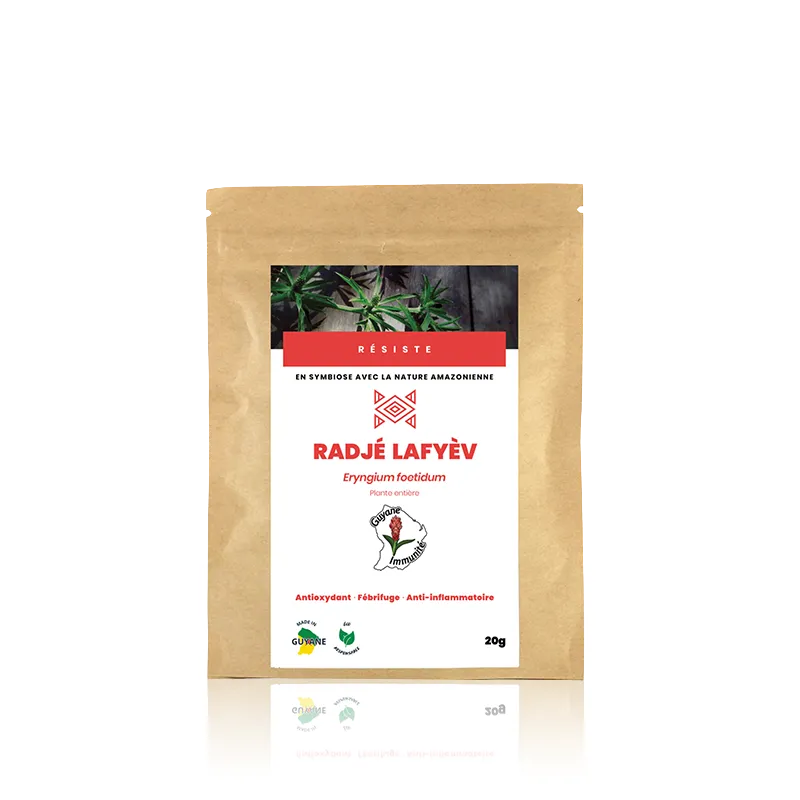 Tisane de Chardon béni