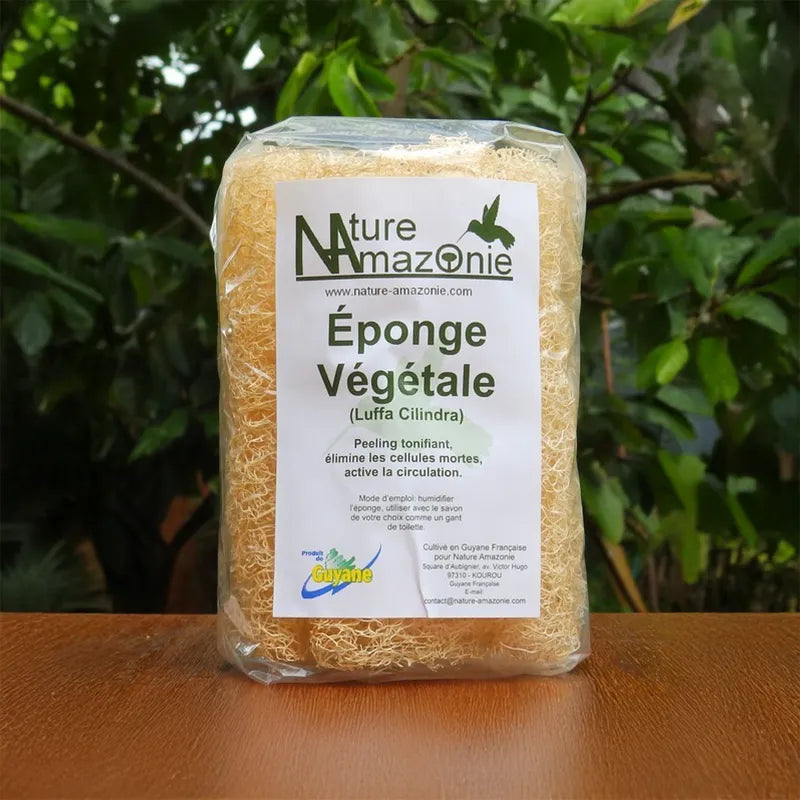 Eponge végétale