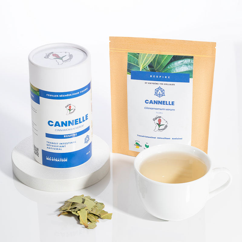 Tisane de Cannelle