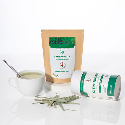 Tisane de Citronnelle
