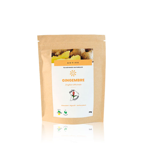 Tisane de Gingembre