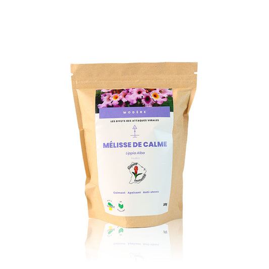 Tisane de Mélisse de calme