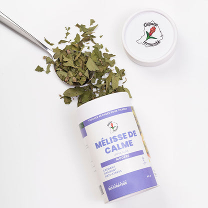 Tisane de Mélisse de calme