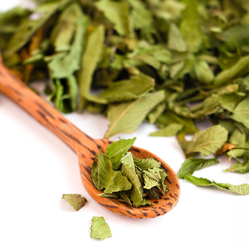 Tisane de Mélisse de calme