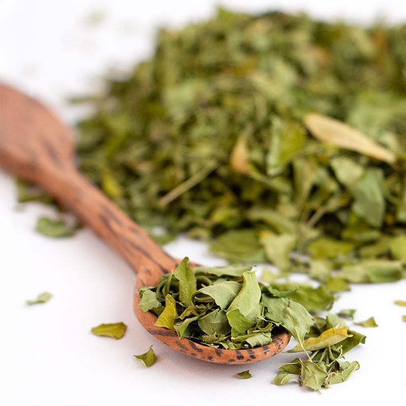 Tisane de Moringa