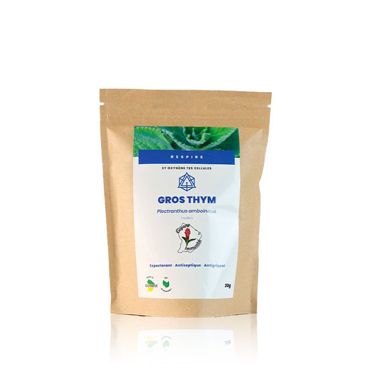 Tisane de Gros Thym