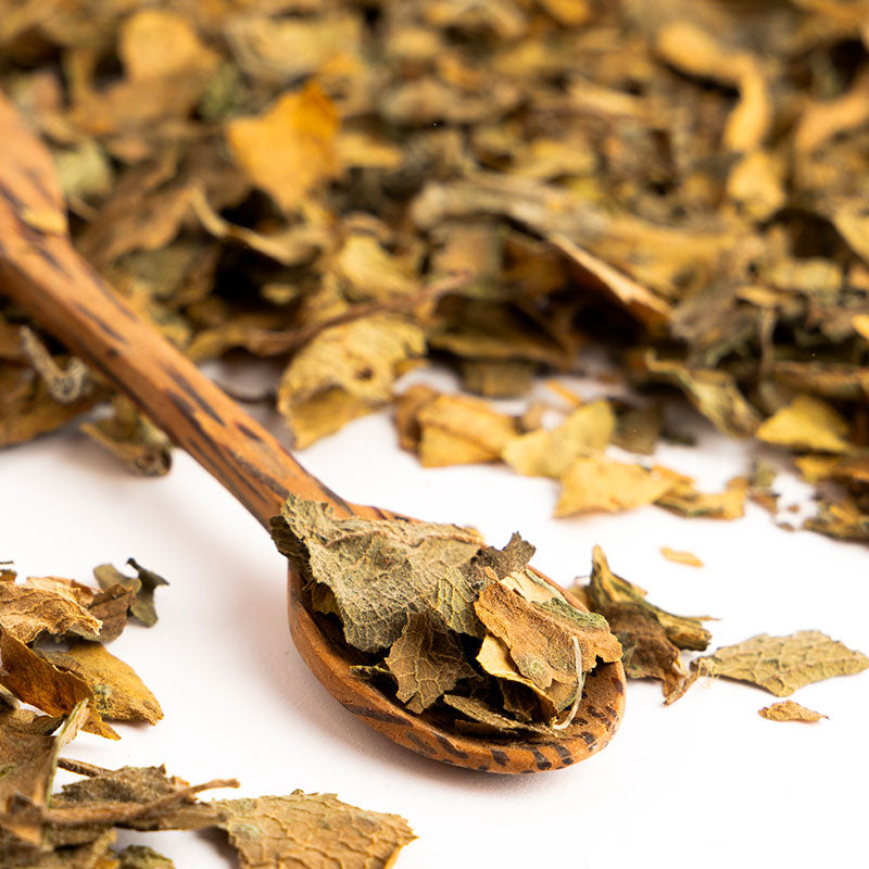Tisane de Gros Thym